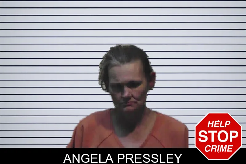 Angela Pressley mugshot