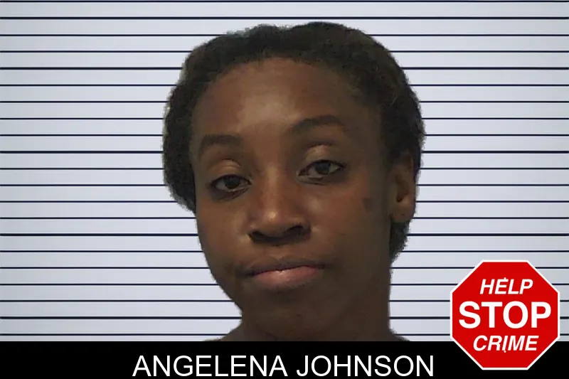 Angelena Johnson mugshot