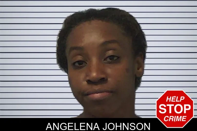 Angelena Johnson mugshot – Ware County , Georgia Angelena Johnson