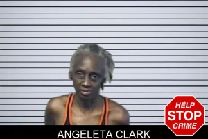 Angeleta Clark mugshot