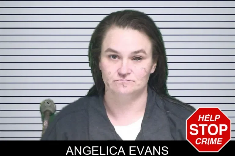 Angelica Evans mugshot – Appling County , Georgia Angelica Evans