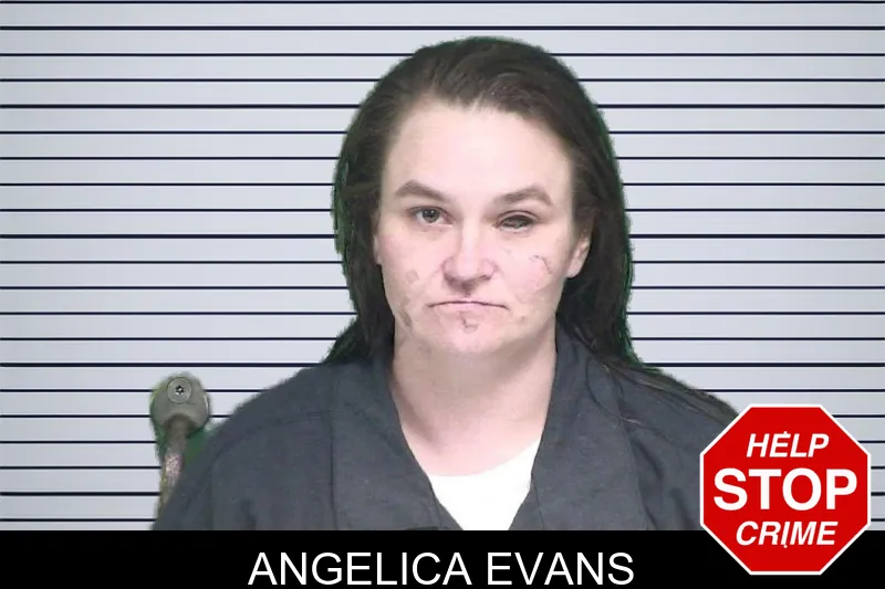 Angelica Evans mugshot