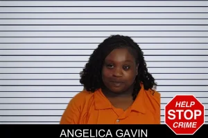 Angelica Gavin mugshot