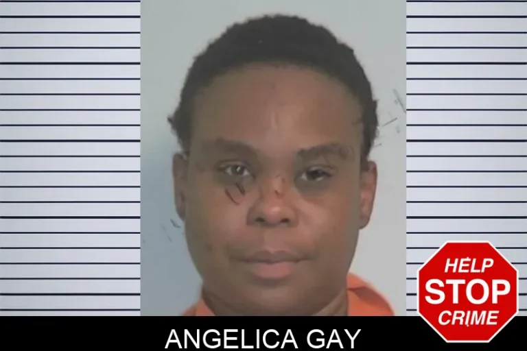 Angelica Gay mugshot – Berrien County , Georgia Angelica Gay