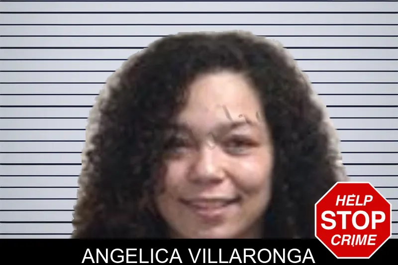 Angelica Villaronga mugshot