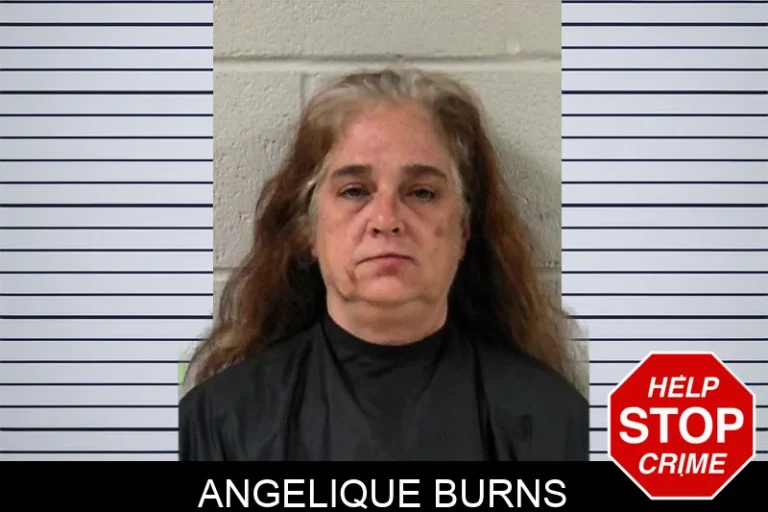 Angelique Burns mugshot – Elbert County , Georgia Angelique Burns