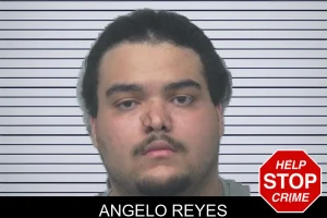 Angelo Reyes mugshot