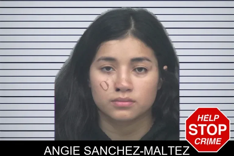Angie Sanchez-Maltez