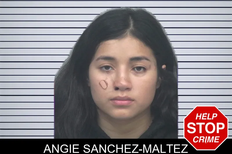 Angie Sanchez-Maltez mugshot