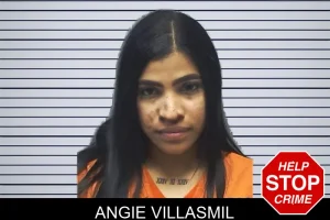 Angie Villasmil mugshot