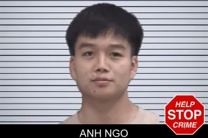 Anh Ngo mugshot