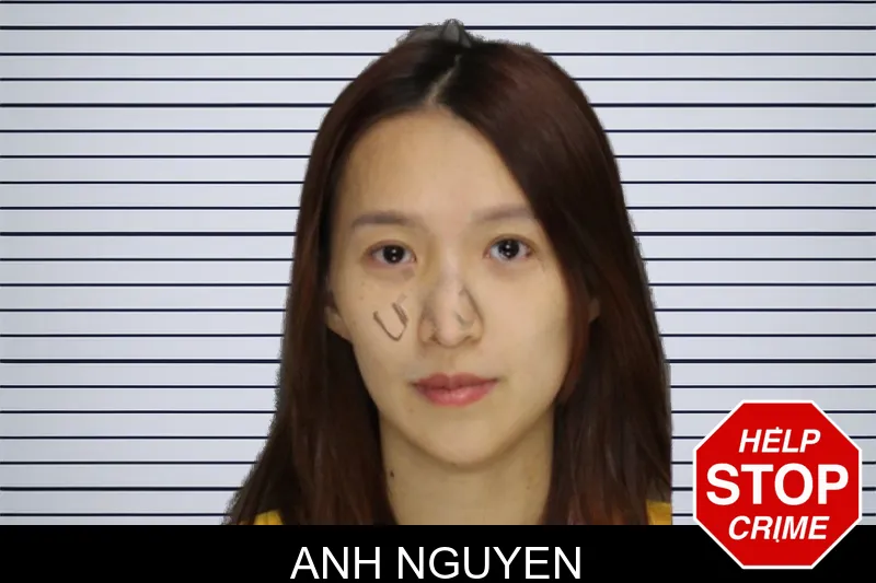 Anh Nguyen mugshot