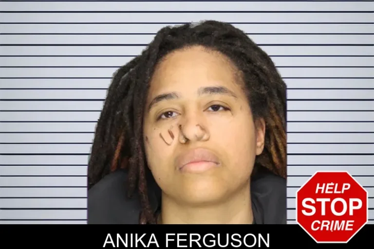 Anika Ferguson mugshot – Cobb County , Georgia Anika Ferguson