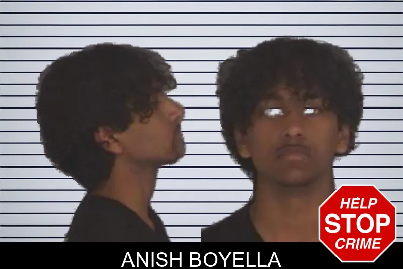 Anish Boyella mugshot