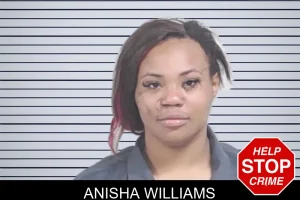 Anisha Williams mugshot
