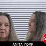 Anita York mugshot