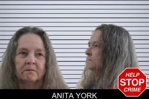 Anita York mugshot