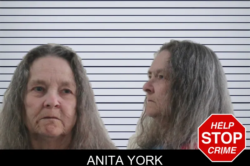 Anita York mugshot