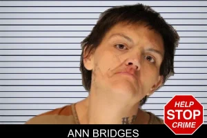 Ann Bridges mugshot