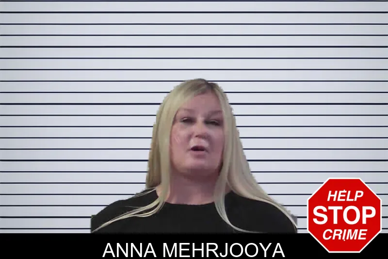 Anna Mehrjooya mugshot