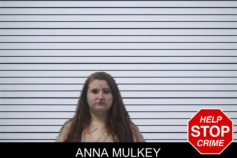Anna Mulkey mugshot