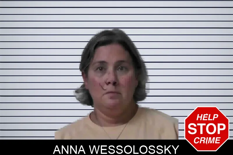 Anna Wessolossky mugshot