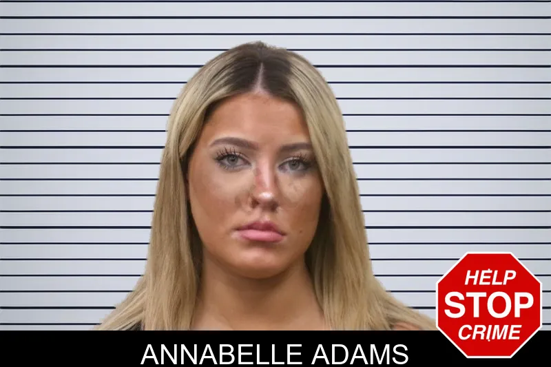 Annabelle Adams mugshot – Bulloch County , Georgia Annabelle Adams mugshot