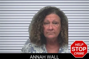 Annah Wall mugshot