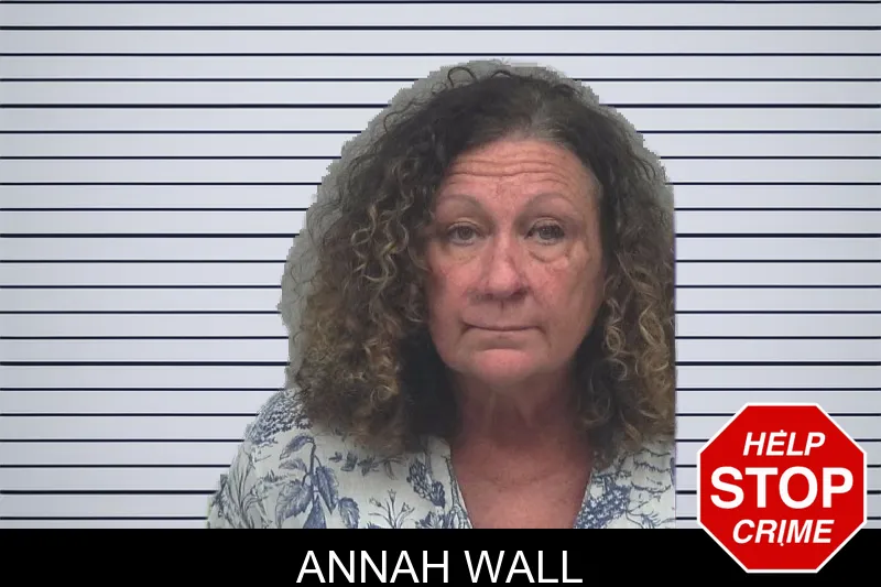 Annah Wall mugshot