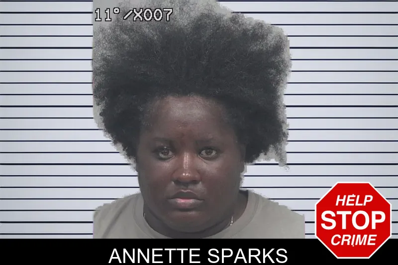 Annette Sparks mugshot