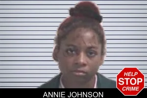 Annie Johnson mugshot