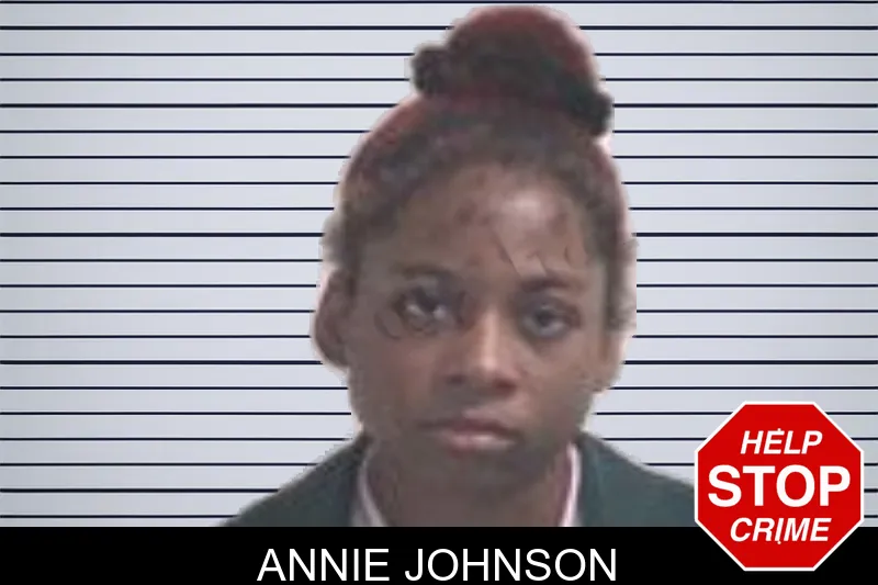 Annie Johnson mugshot