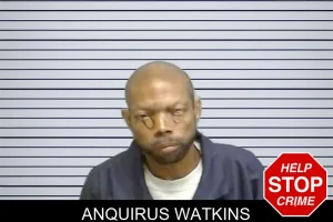 Anquirus Watkins mugshot