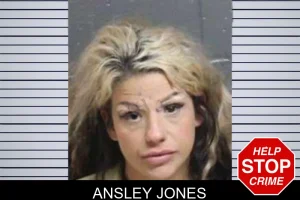 Ansley Jones mugshot