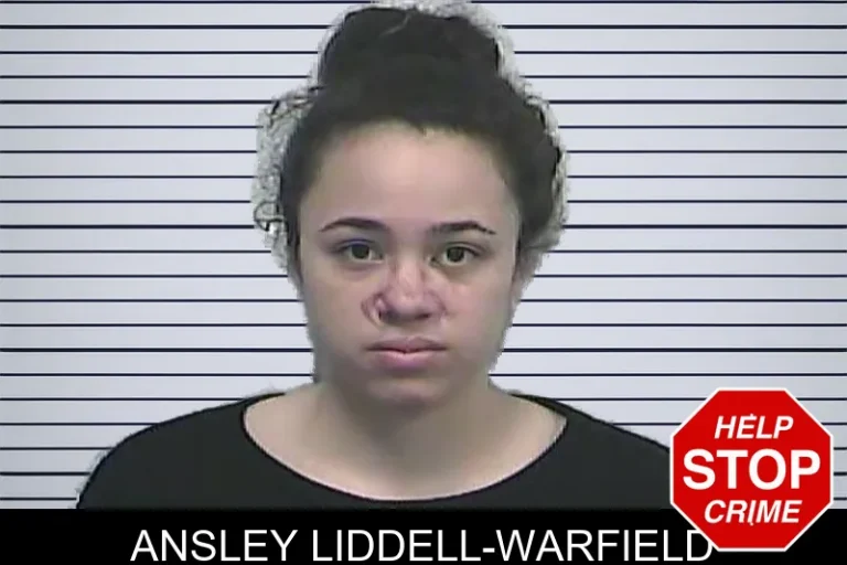 Ansley Liddell-Warfield