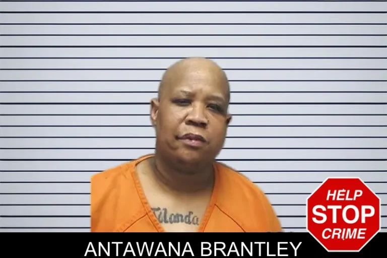 Antawana Brantley mugshot – Cherokee County , Georgia Antawana Brantley