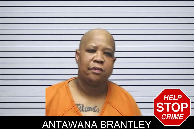 Antawana Brantley mugshot – Cherokee County , Georgia Antawana Brantley mugshot