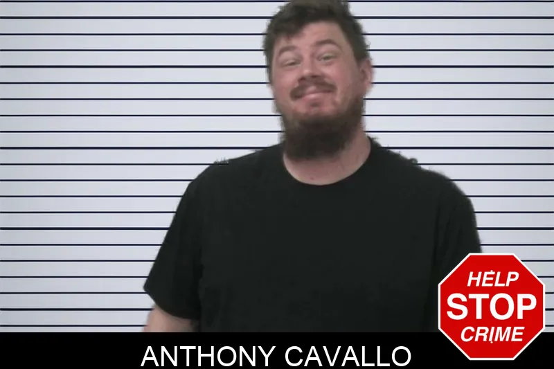 Anthony Cavallo mugshot