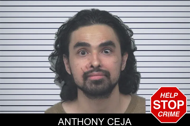 Anthony Ceja mugshot
