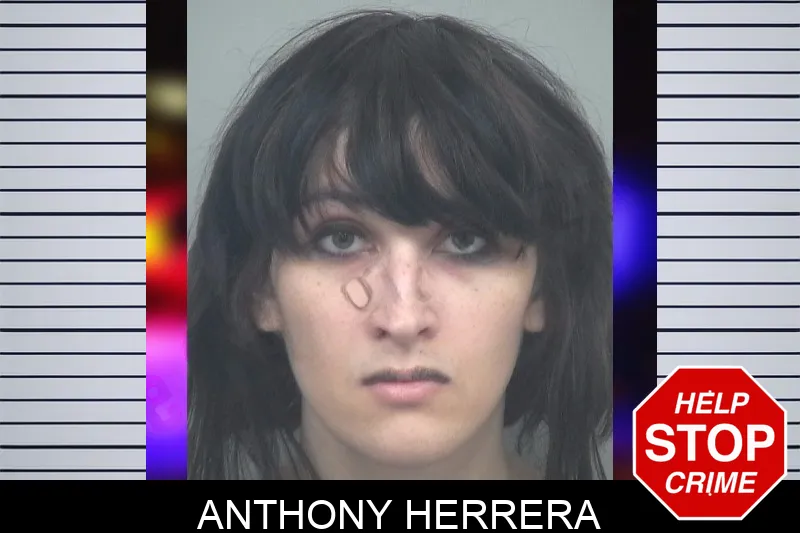 Anthony Herrera mugshot – Gwinnett County , Georgia Anthony Herrera mugshot