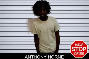 Anthony Horne mugshot