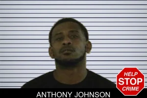 Anthony Johnson mugshot