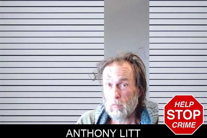 Anthony Litt mugshot