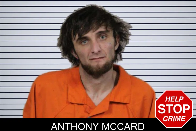 Anthony McCard mugshot