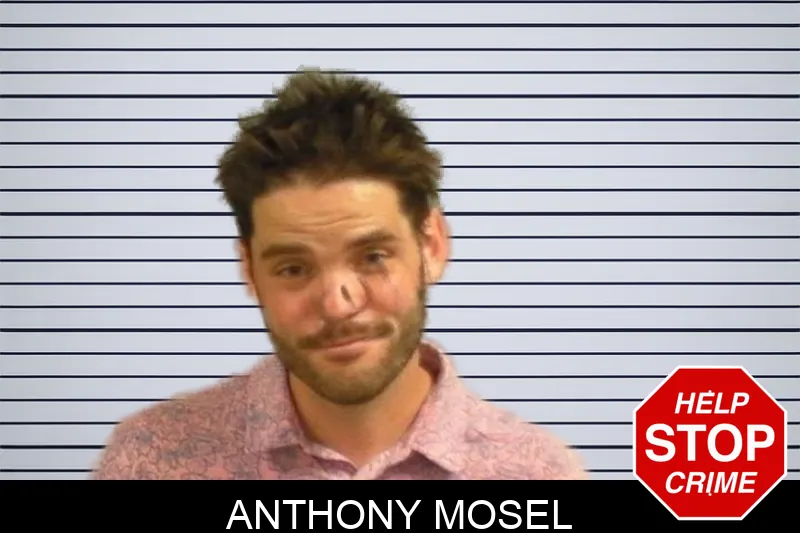 Anthony Mosel mugshot