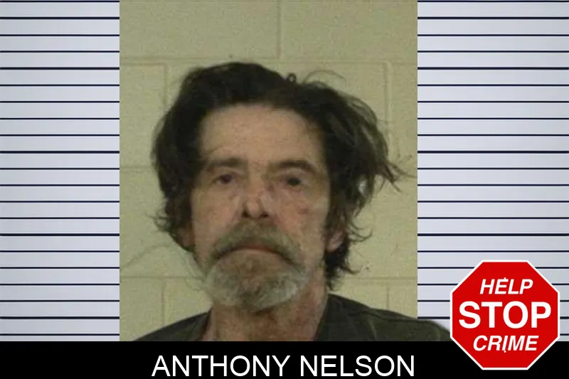 Anthony Nelson mugshot – Liberty County , Georgia Anthony Nelson mugshot