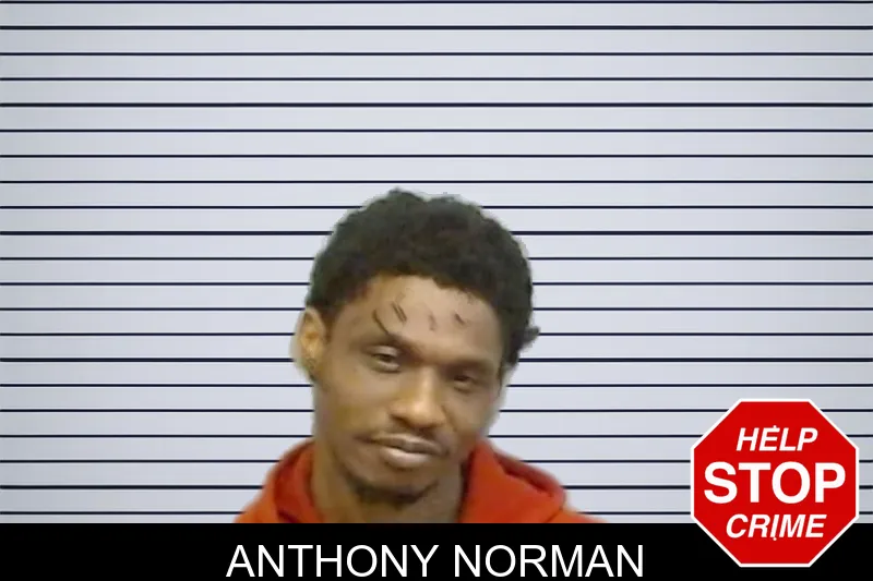 Anthony Norman mugshot