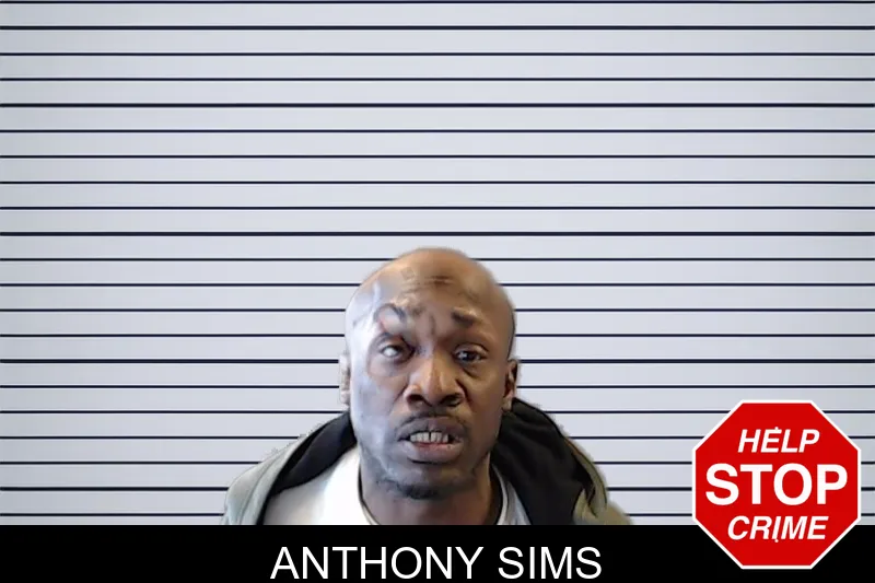 Anthony Sims mugshot