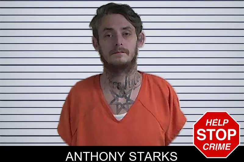 Anthony Starks mugshot