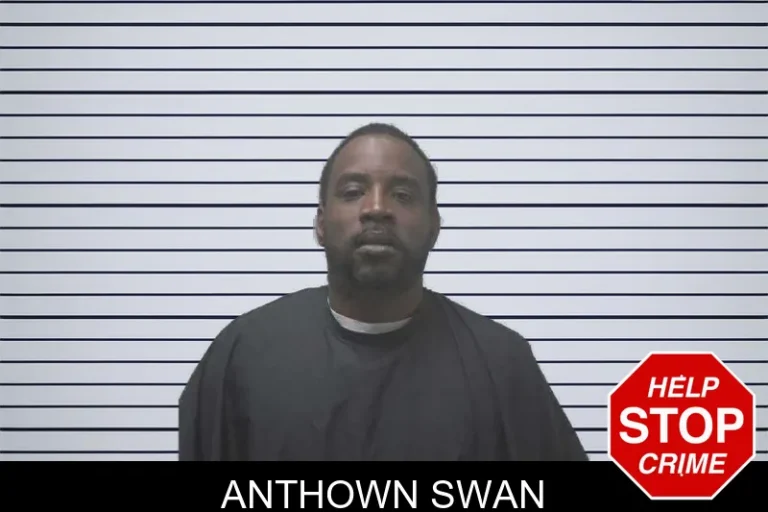 Anthown Swan